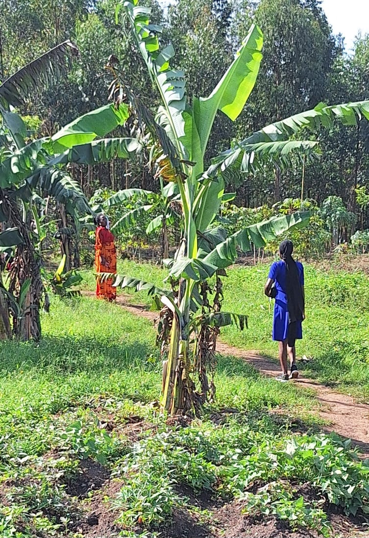 Workshop met als toetje kip