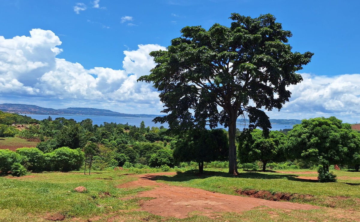 Op pad met studenten